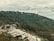 A lush forest landscape with dense trees covering a hillside. At the forefront, several greenhouses are aligned in rows on the slopes, surrounded by greenery. The sky is lightly overcast with clouds, adding a serene feel to the scene.