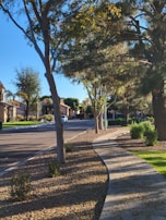 A midwest neighborhood street sign adorned with sapphire blue hues under a clear sky.