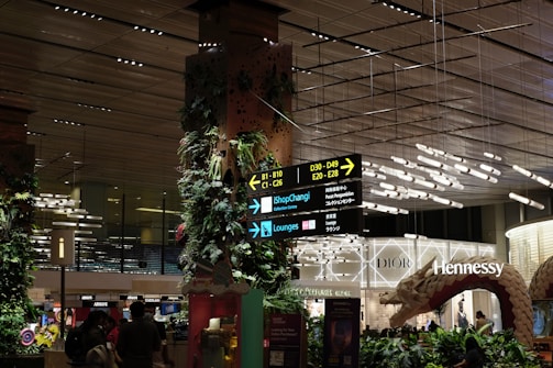 An indoor area bustling with activity, featuring signage directing towards different terminal gates, shopping and lounges. The space is adorned with lush greenery and illuminated by modern lighting fixtures. Visible storefronts include luxury brands like Dior and Hennessy. The setting includes decorative elements like plant-covered pillars and a large sculptural piece.