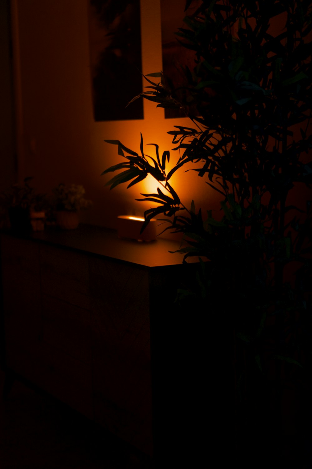 a plant sitting on top of a wooden dresser