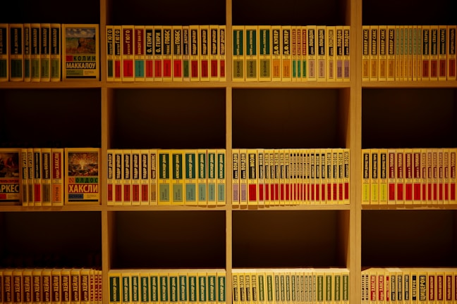 A minimalist ins-style solid wood bookshelf filled with colorful books in a bright living room.