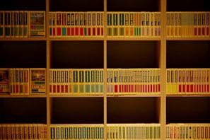 Rows of neatly arranged bookshelves with a refined yellow and black color scheme.