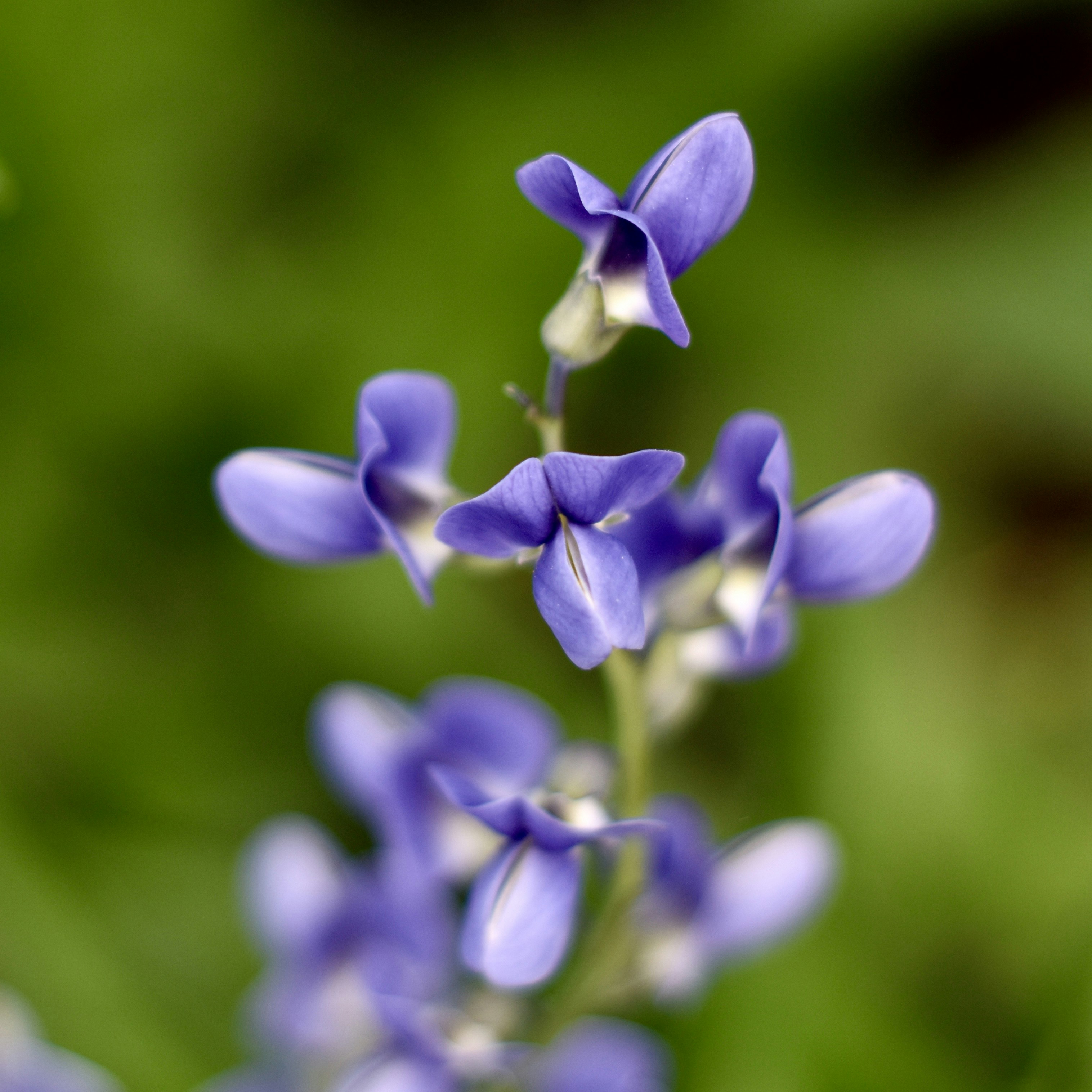 Photo by creativedrea