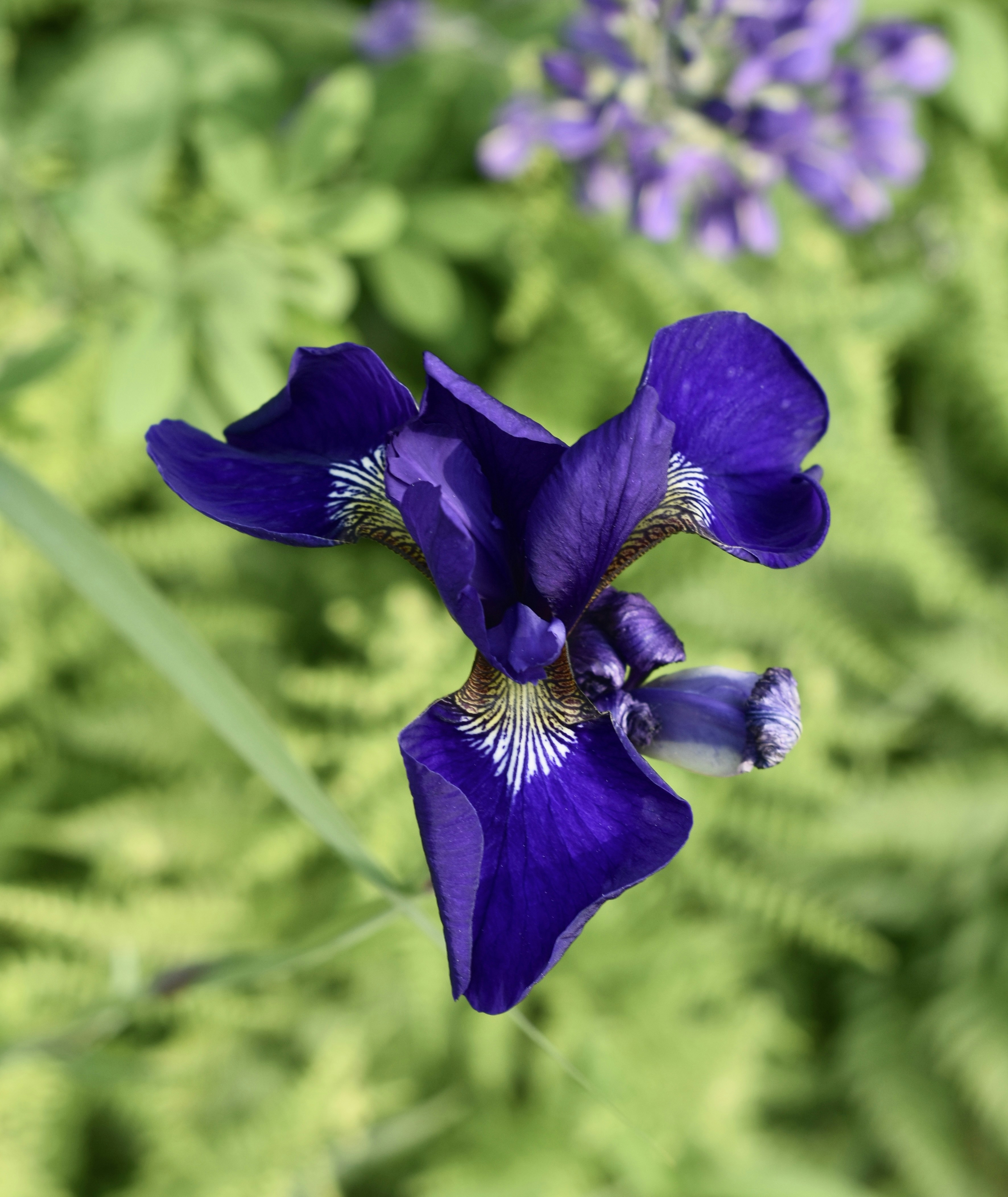 Photo by creativedrea