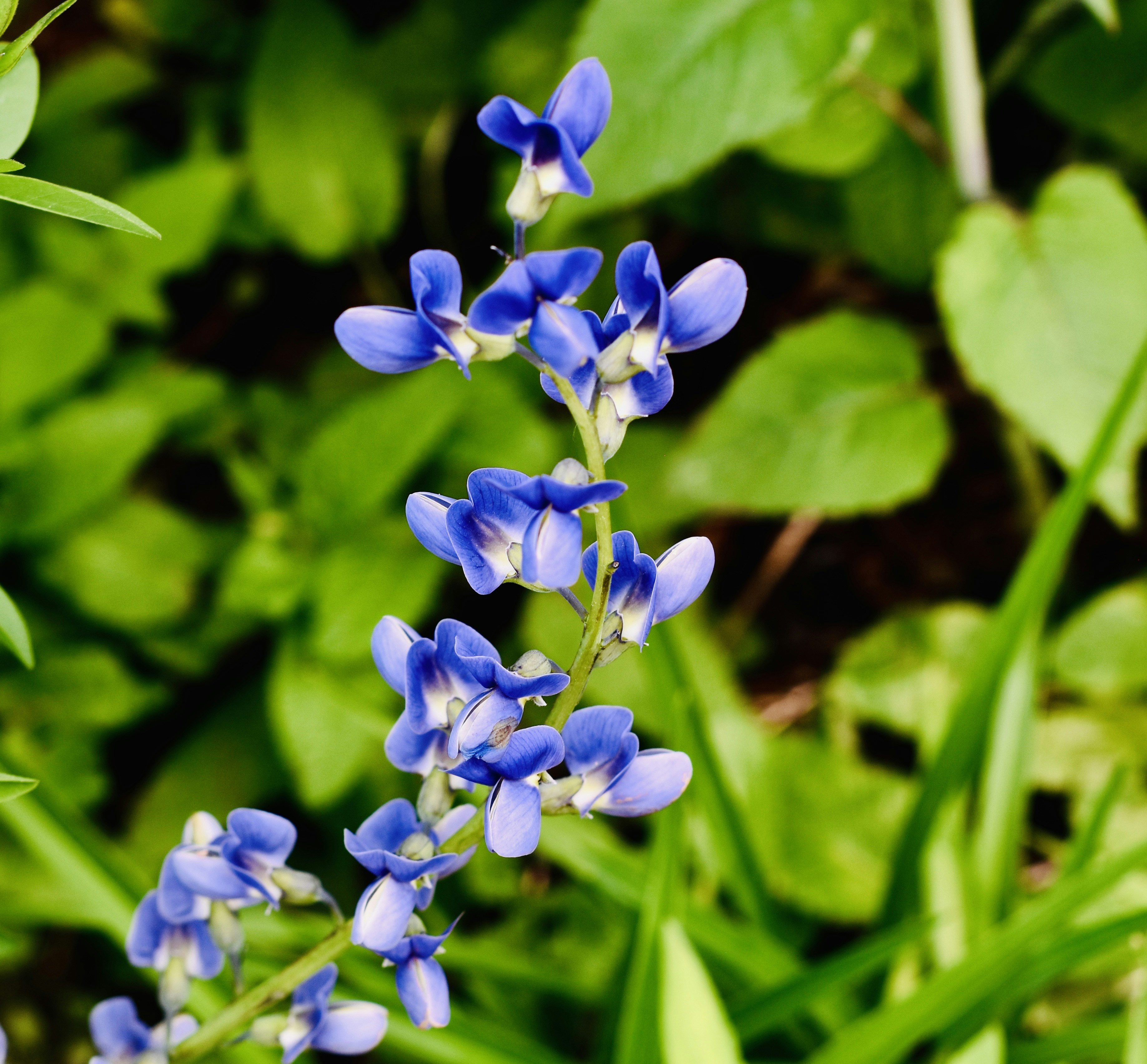 Photo by creativedrea