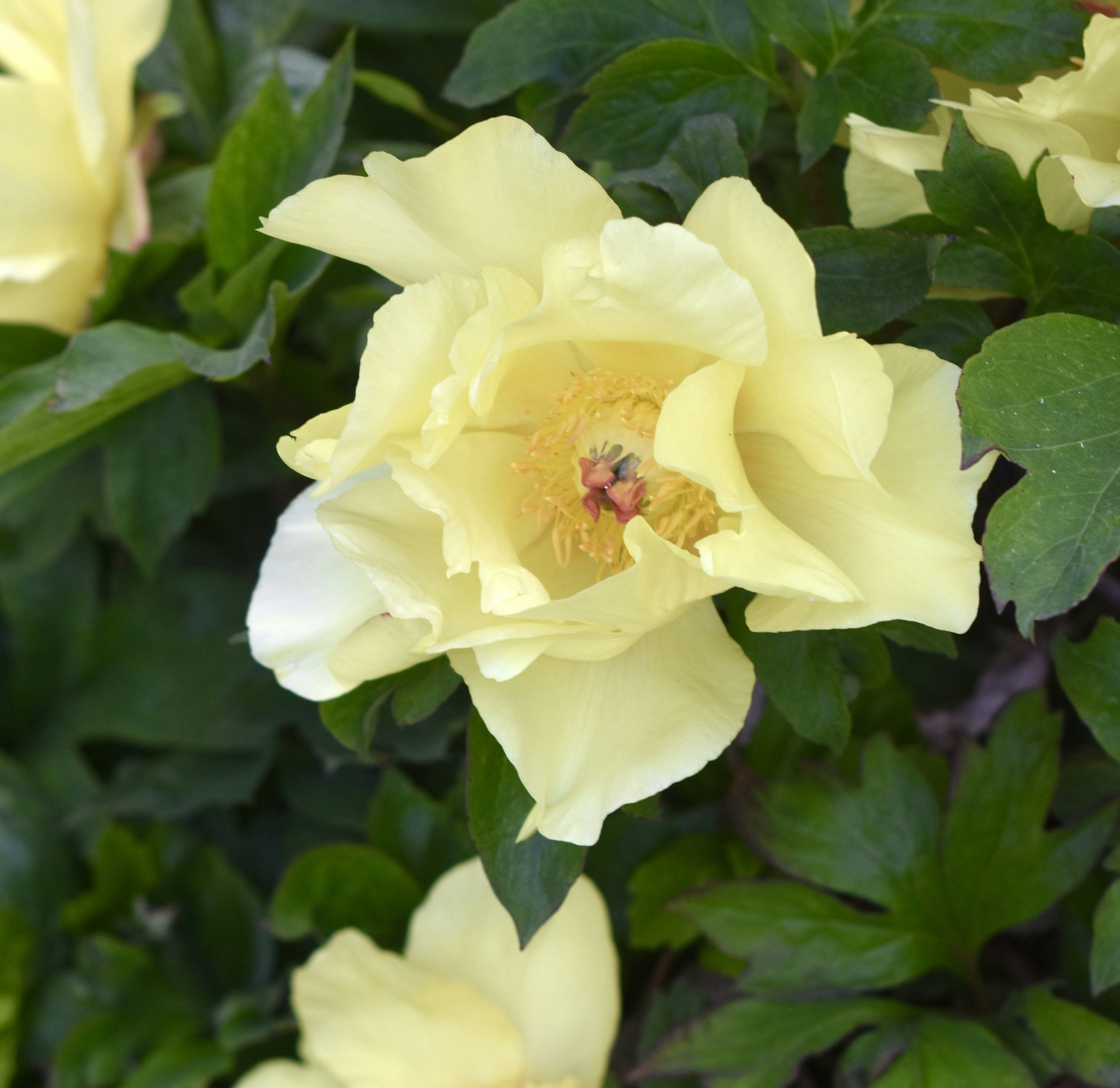 Photo by creativedrea