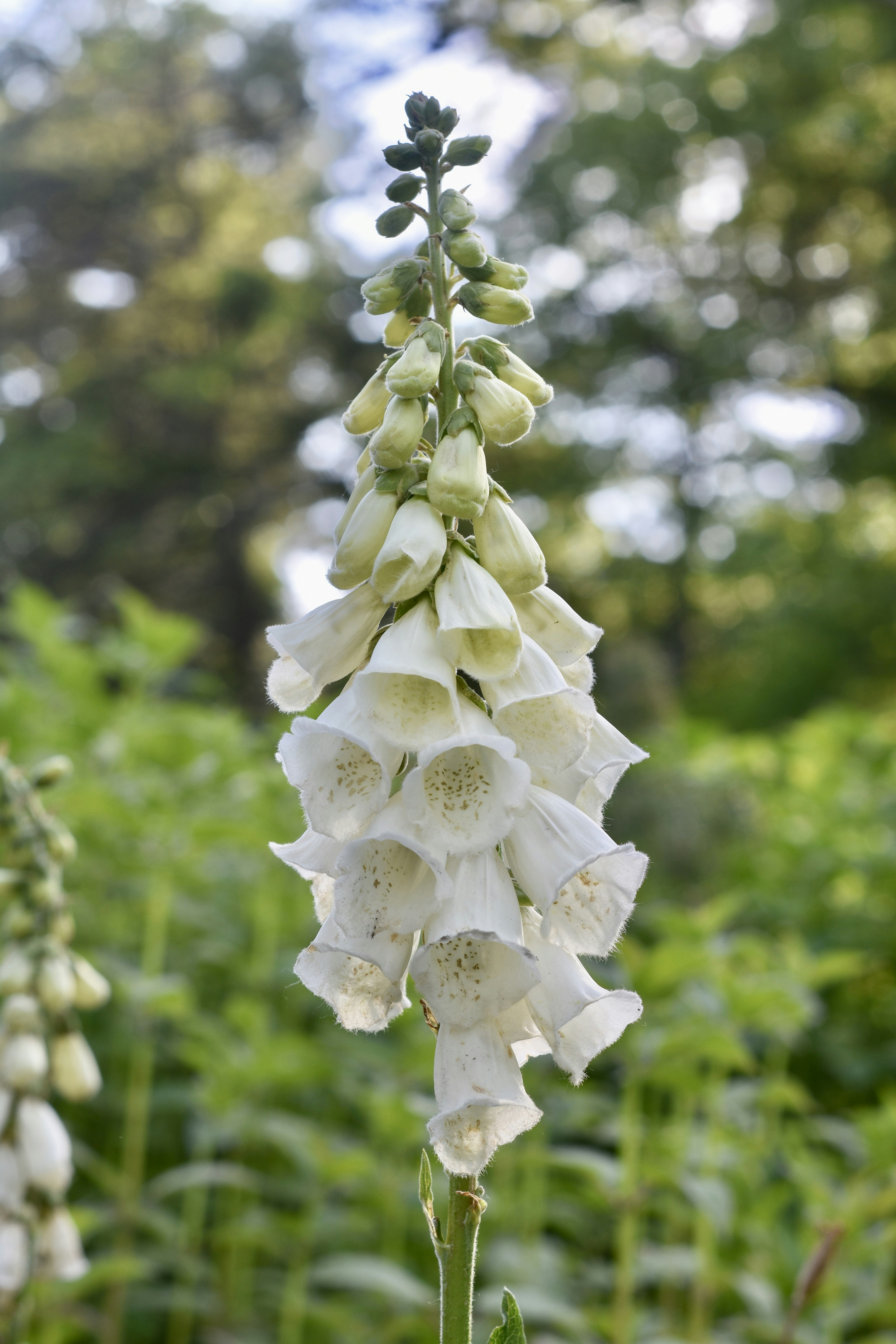 Photo by creativedrea