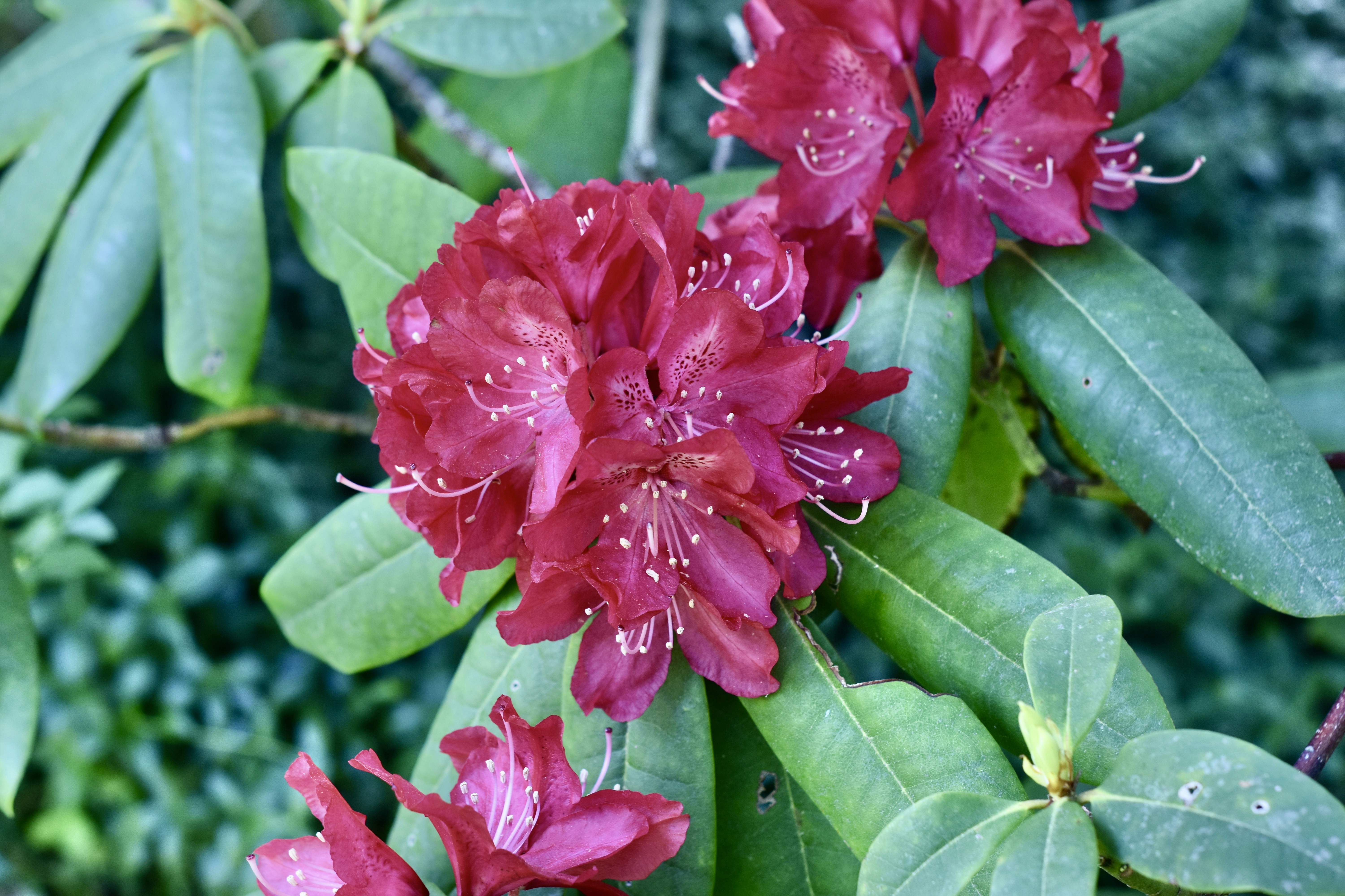 Photo by creativedrea