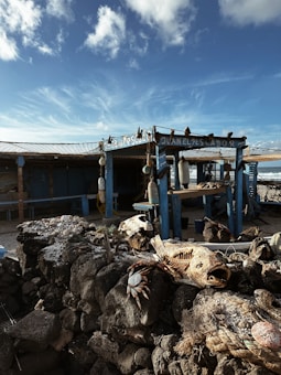 A rustic seaside shack constructed with blue wooden beams and netting sits against a backdrop of a bright, partly cloudy sky. A stone wall in the foreground is adorned with large, dried fish and marine objects, giving a weathered and coastal feel. Various buoys and nautical decorations are scattered around the structure.