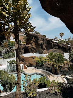 The image portrays a picturesque outdoor scene featuring a swimming pool surrounded by various types of plants, including cactus and palm trees. A prominent rock formation creates a dramatic backdrop, while white, curved architectural elements are integrated into the natural landscape.