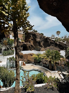 An image of a beautifully designed swimming pool project.