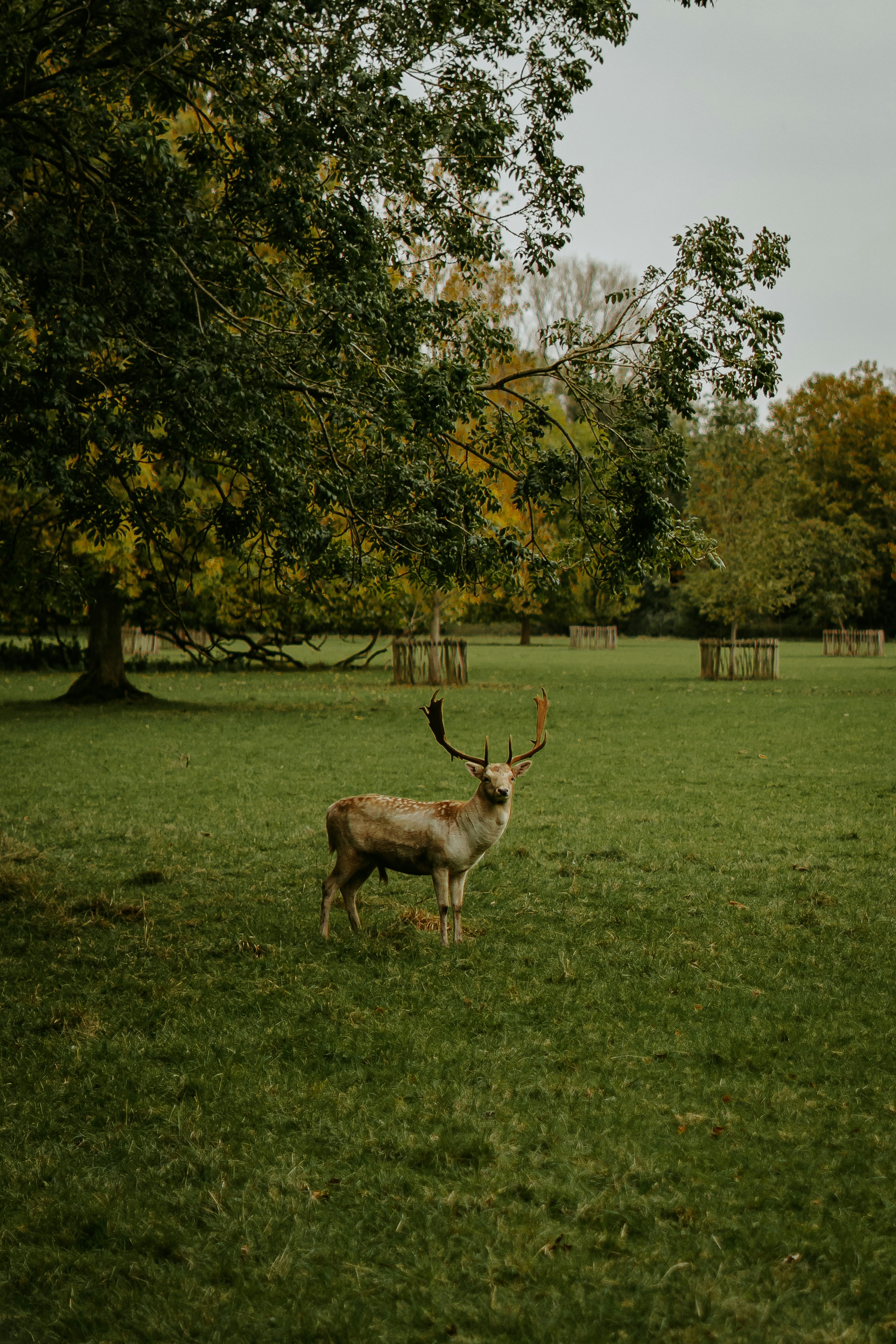 Photo by benjaminelliott