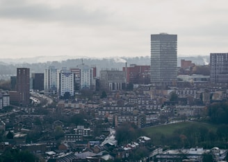 An expansive urban landscape featuring a mix of residential and commercial buildings. The foreground is dominated by rows of smaller, older houses clustered together, while the background is marked by taller, modern skyscrapers with a blend of architectural styles. The sky is overcast, creating a muted and somber atmosphere. A road weaves through the cityscape, indicating a bustling metropolitan setting.