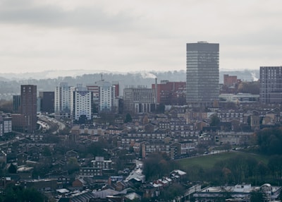 An expansive urban landscape featuring a mix of residential and commercial buildings. The foreground is dominated by rows of smaller, older houses clustered together, while the background is marked by taller, modern skyscrapers with a blend of architectural styles. The sky is overcast, creating a muted and somber atmosphere. A road weaves through the cityscape, indicating a bustling metropolitan setting.