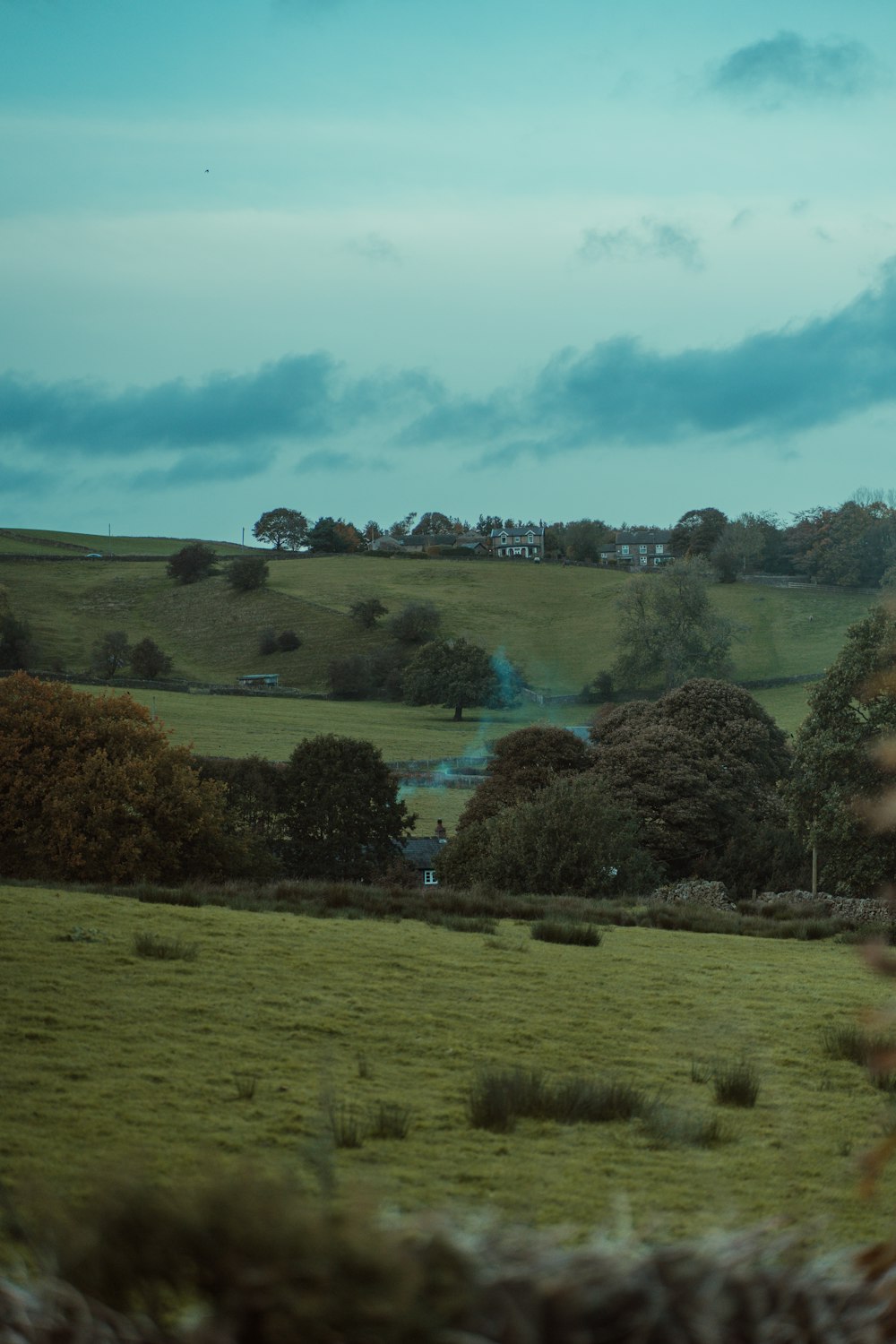 a grassy field with trees and a house in the distance