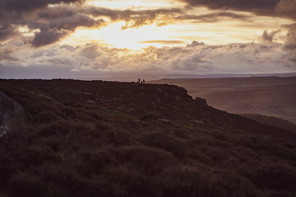 a couple of people standing on top of a lush green hillside