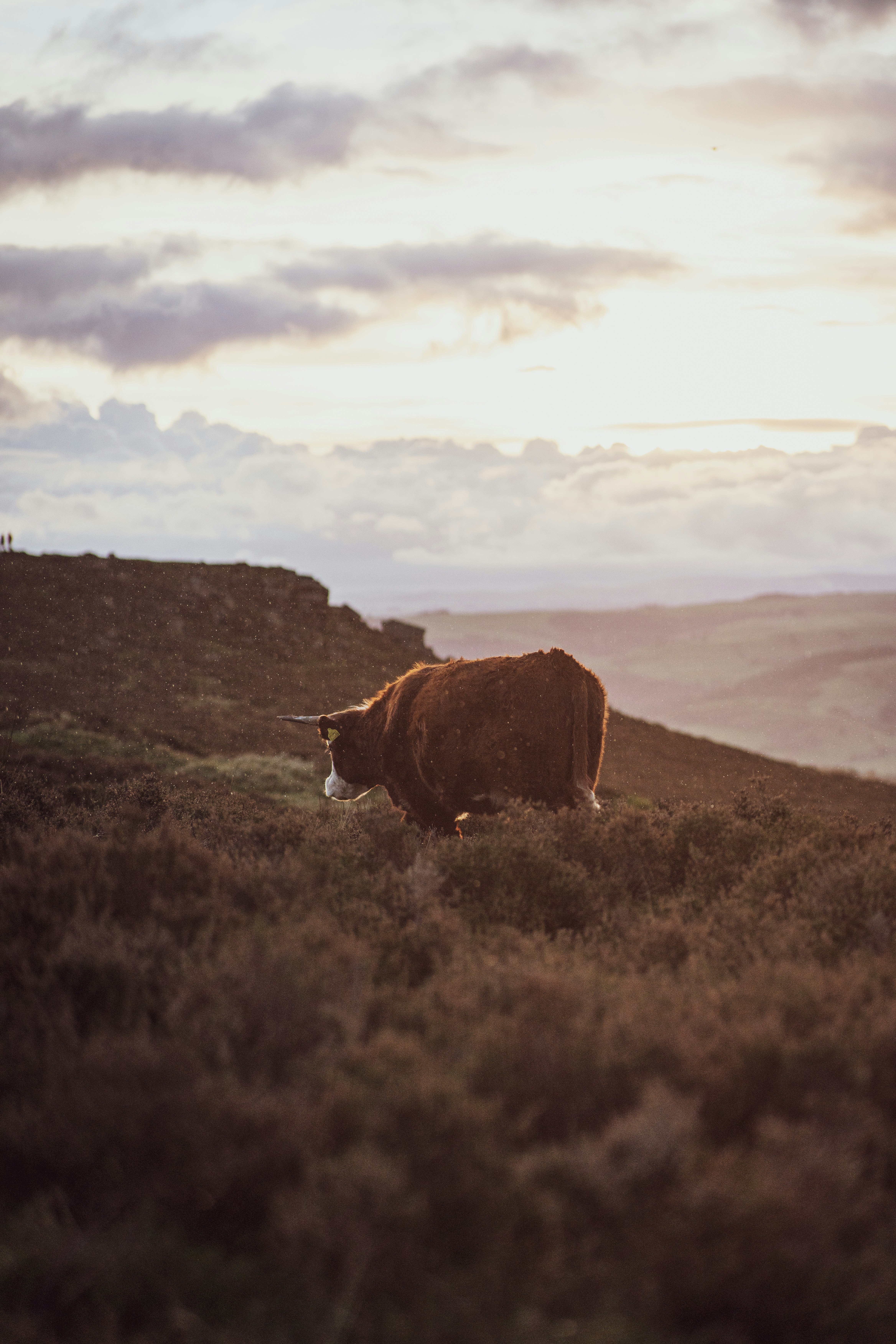 Photo by benjaminelliott