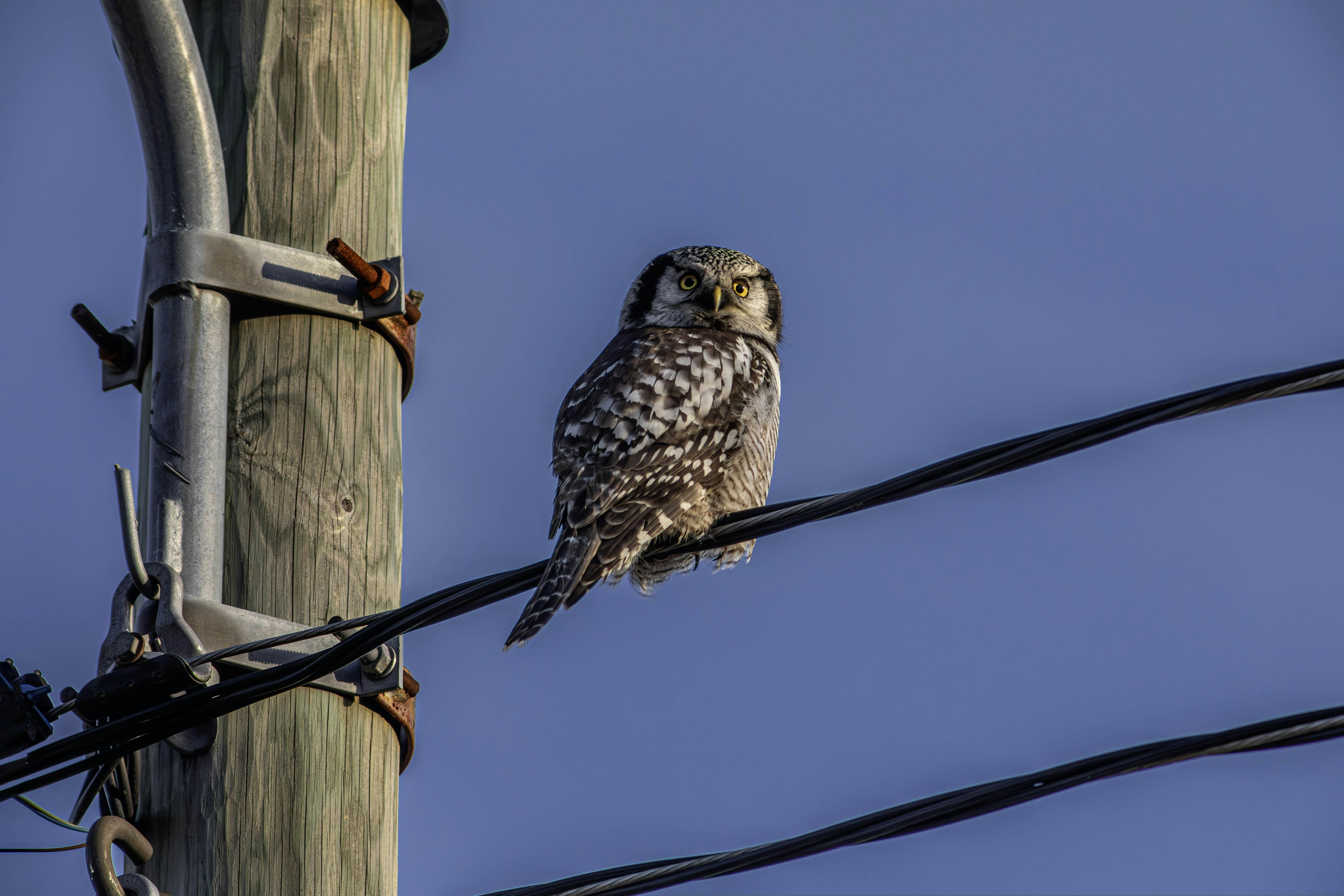 Photo by erik_karits