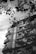 An elegant multi-story hotel building featuring classic architectural designs with ornate balconies. The top of the building displays a sign that reads 'Hotel' in cursive letters. Shadows and silhouettes of tree branches frame the building, adding depth to the architecture.