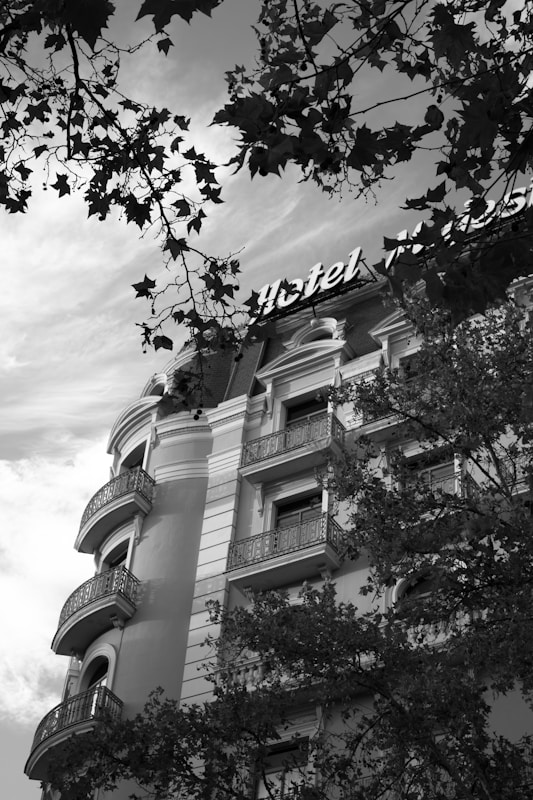 An elegant multi-story hotel building featuring classic architectural designs with ornate balconies. The top of the building displays a sign that reads 'Hotel' in cursive letters. Shadows and silhouettes of tree branches frame the building, adding depth to the architecture.