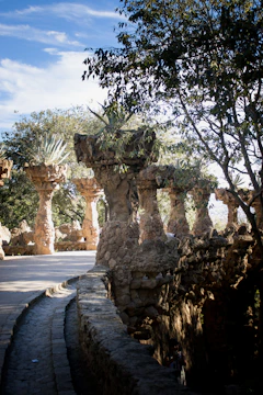 Elegant curved stone pathway winding through a vibrant garden