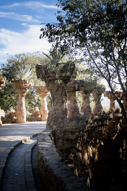 A beautifully crafted stone patio with intricate hardscaping details under soft natural light.