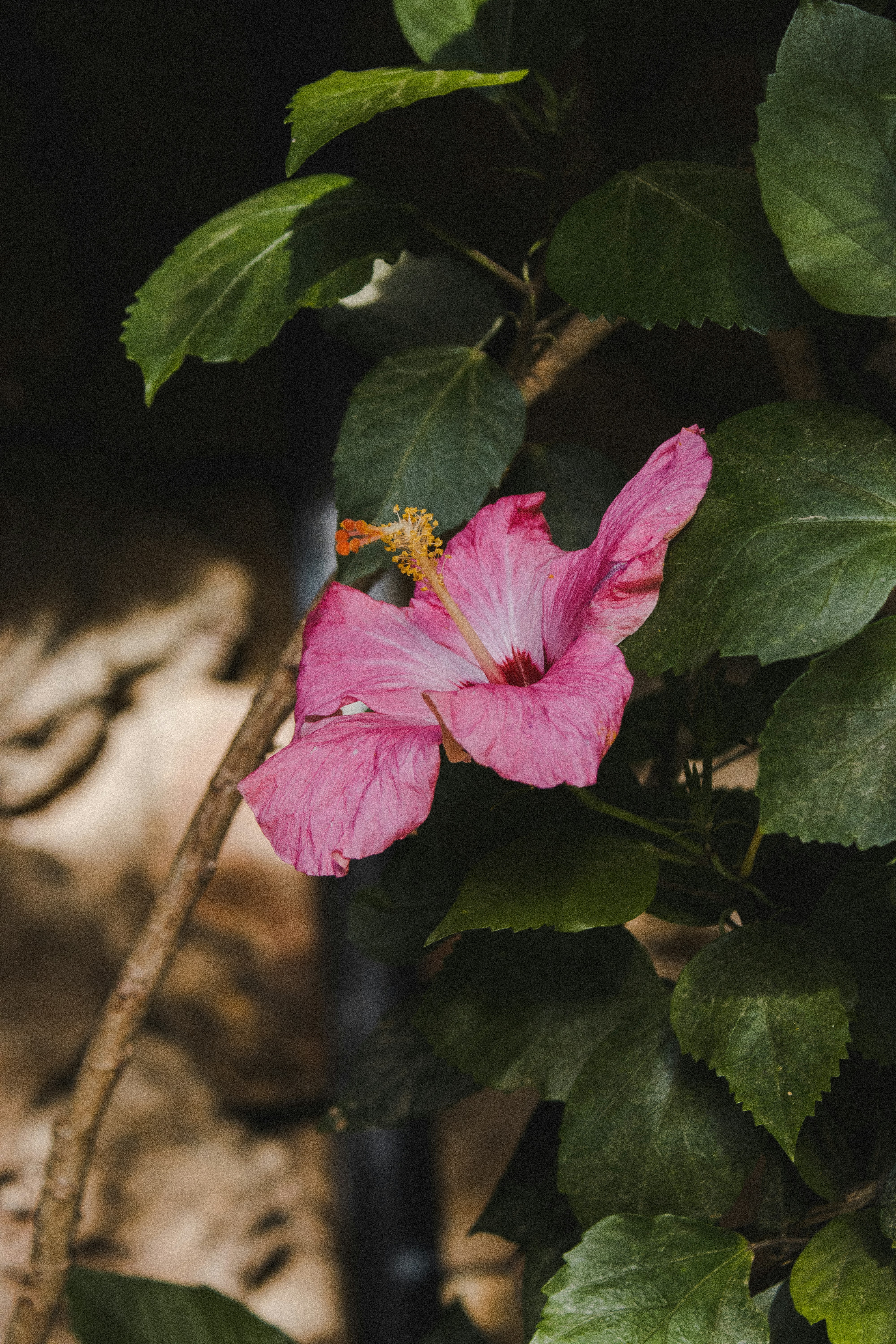 Photo by iscas