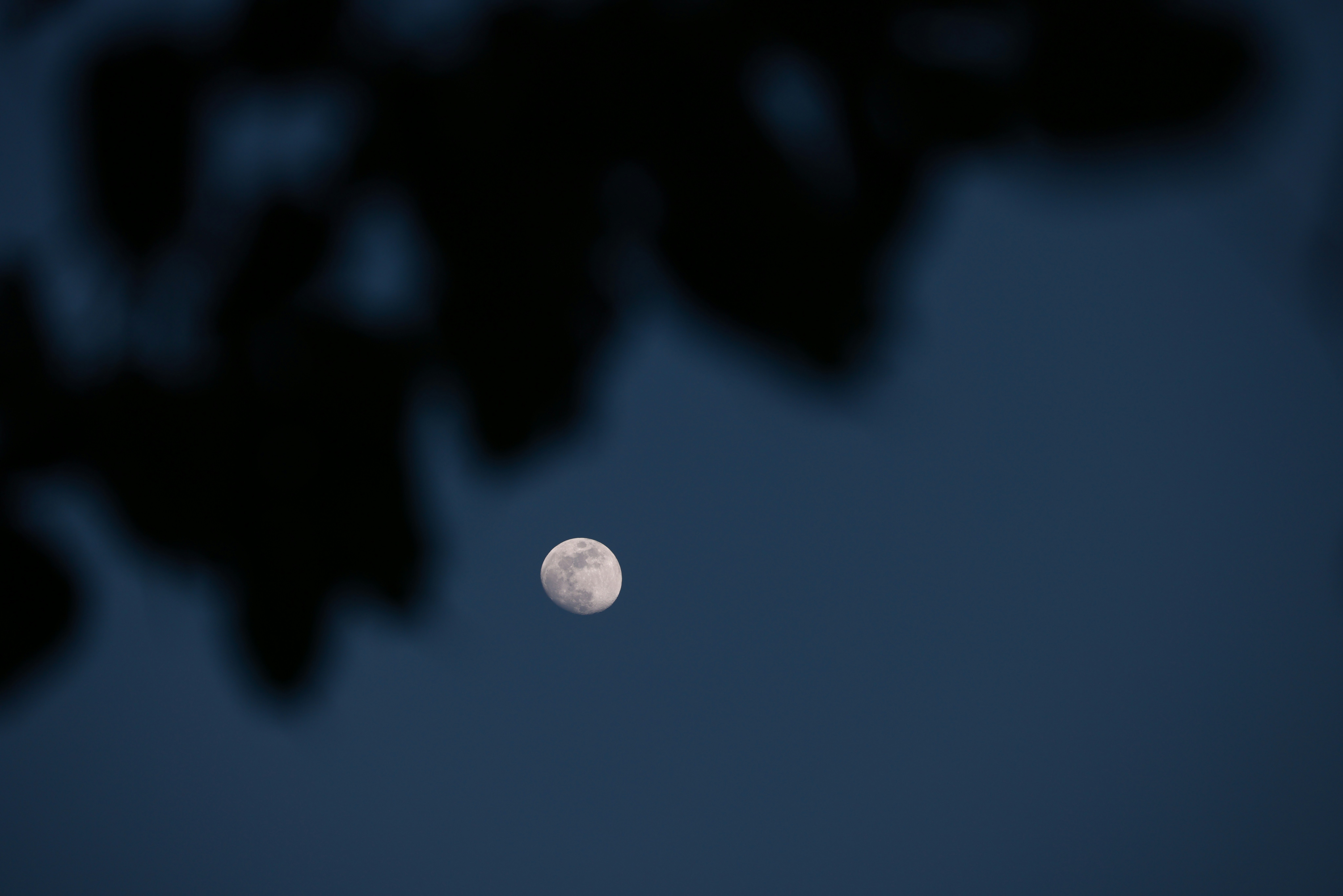 Photo by dickenslin76