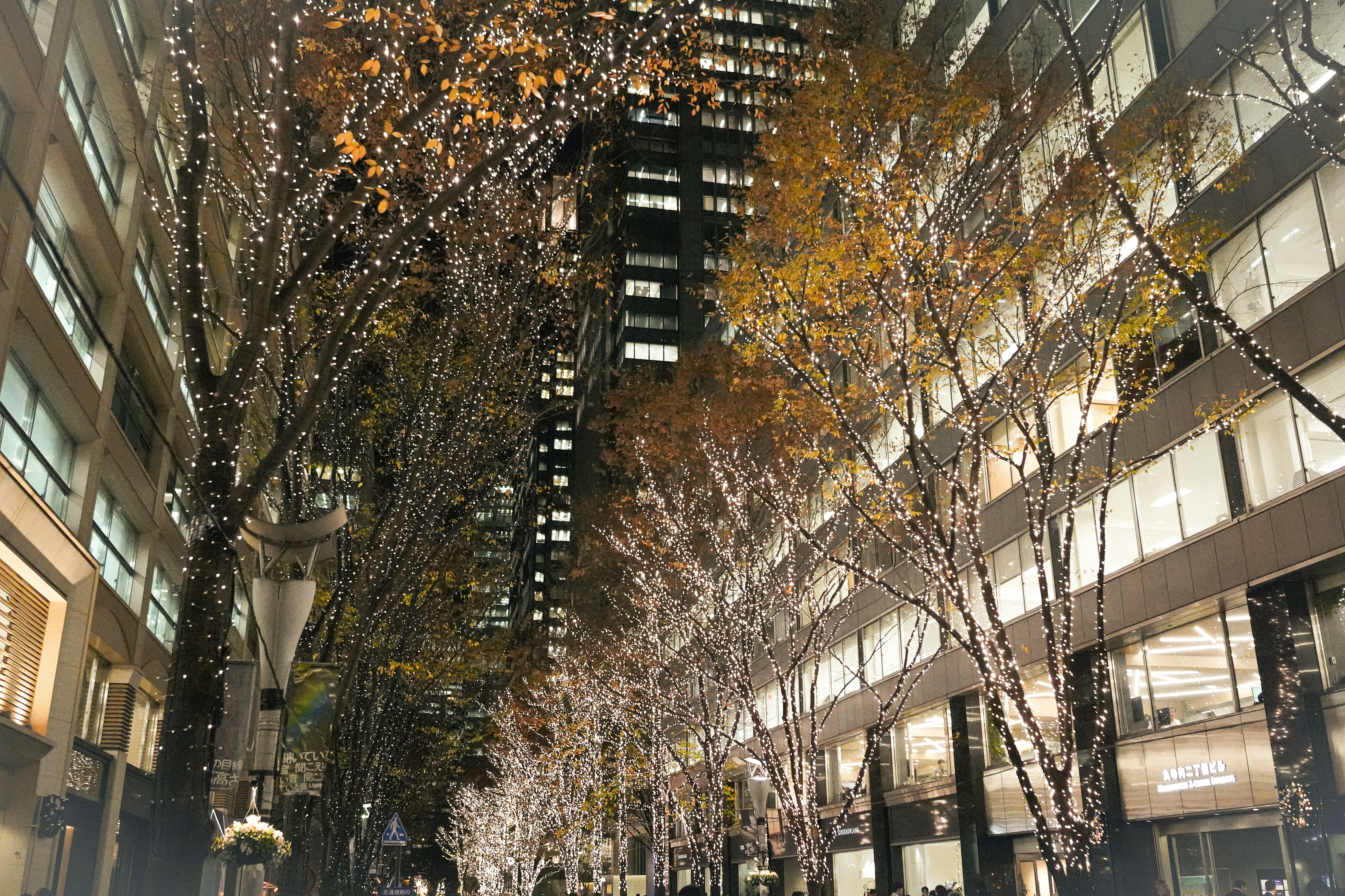 Photo by akira6432