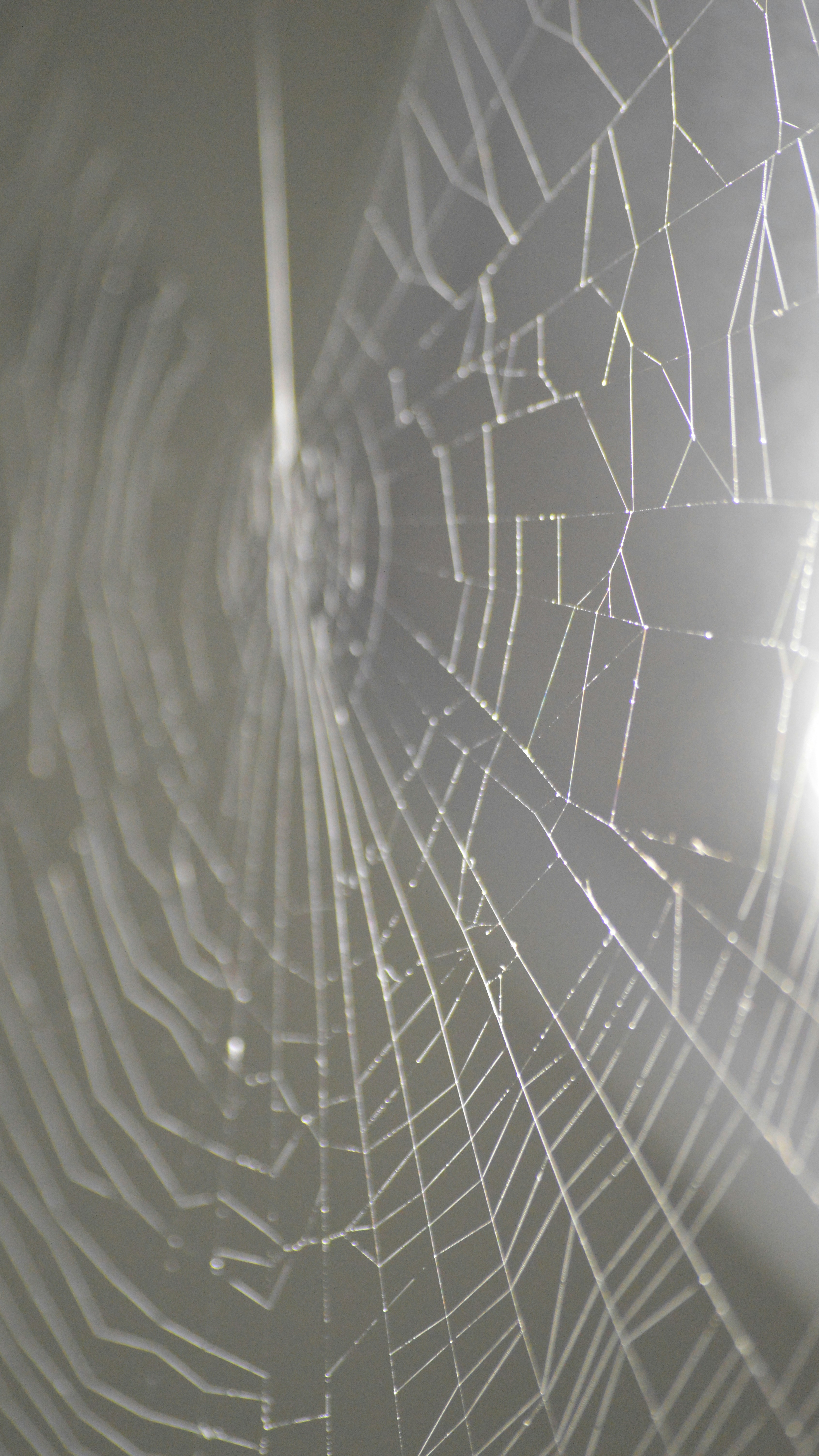 Photo by saidyigitcamlica