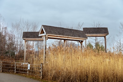 Three rustic wooden gazebos with shingled roofs stand amid tall, dry reeds in a natural, overcast setting. Bare trees and a cloudy sky form the backdrop, while a wooden fence runs alongside a path in the foreground.