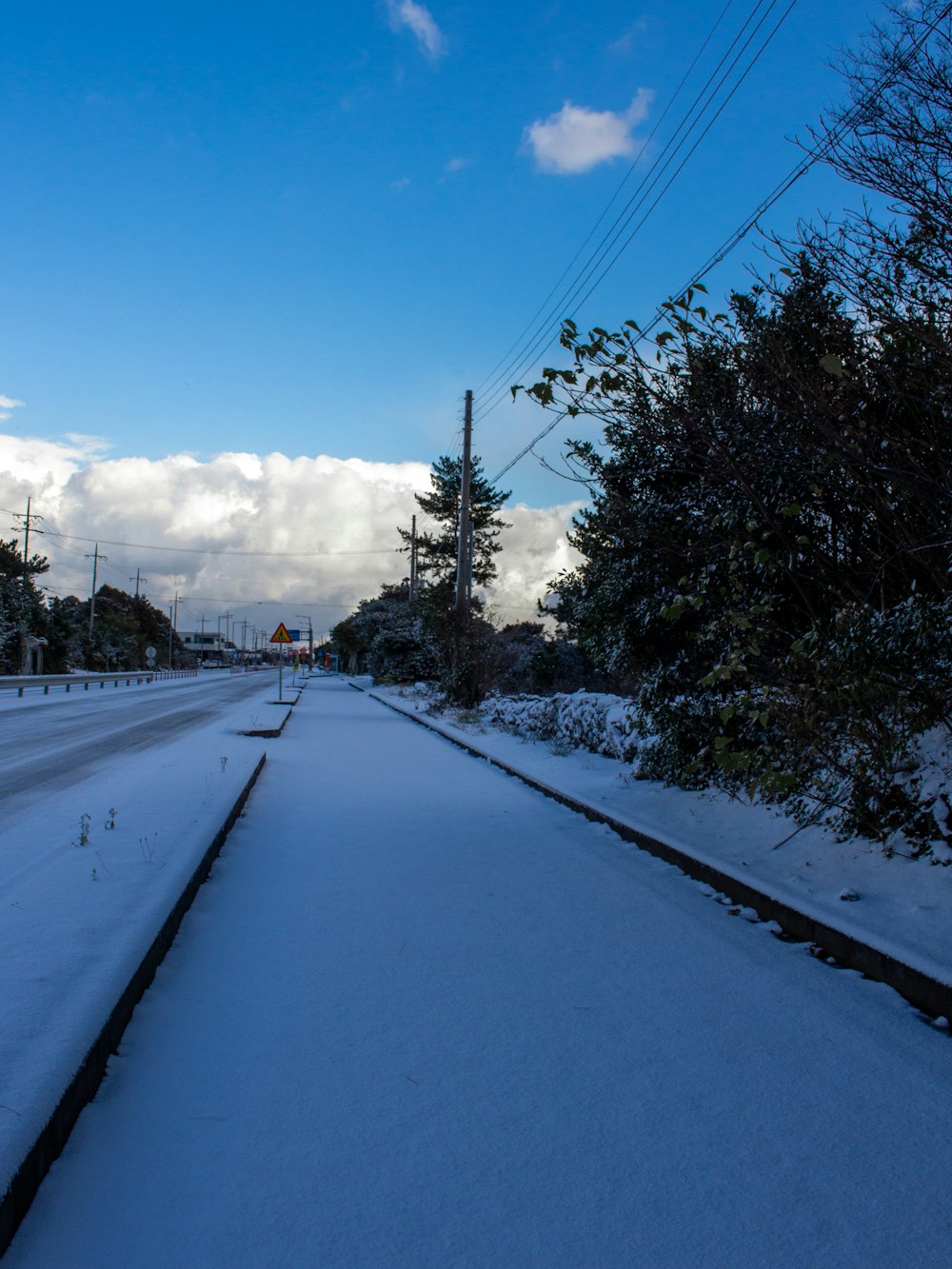 a snow covered road with trees and power lines