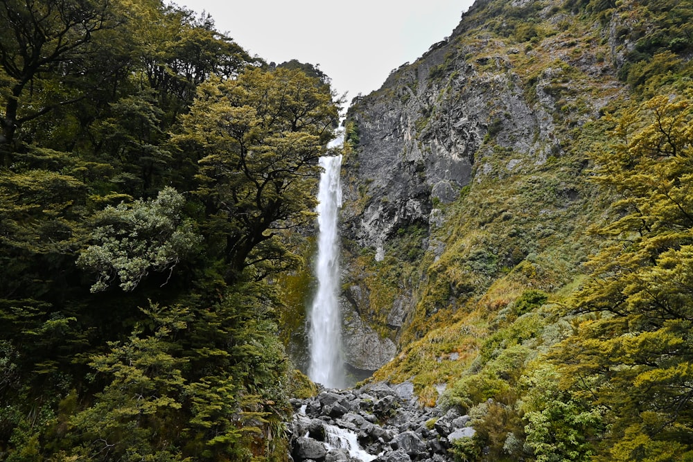 a waterfall in the middle of a forest