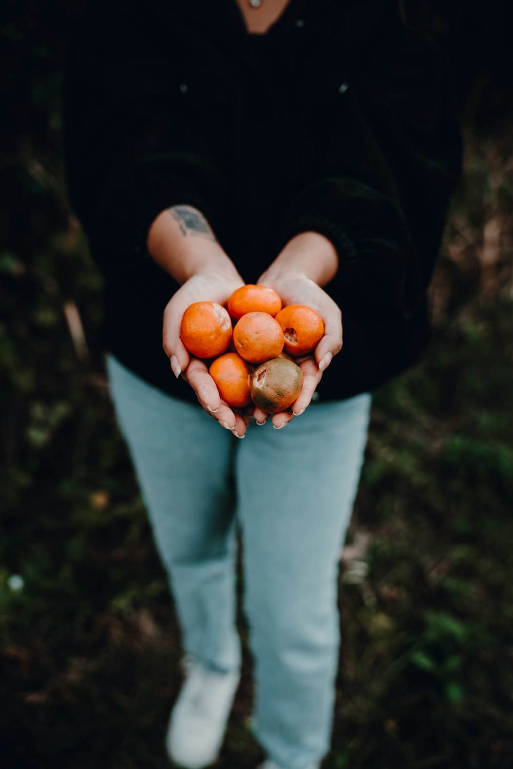 a person holding a bunch of oranges in their hands