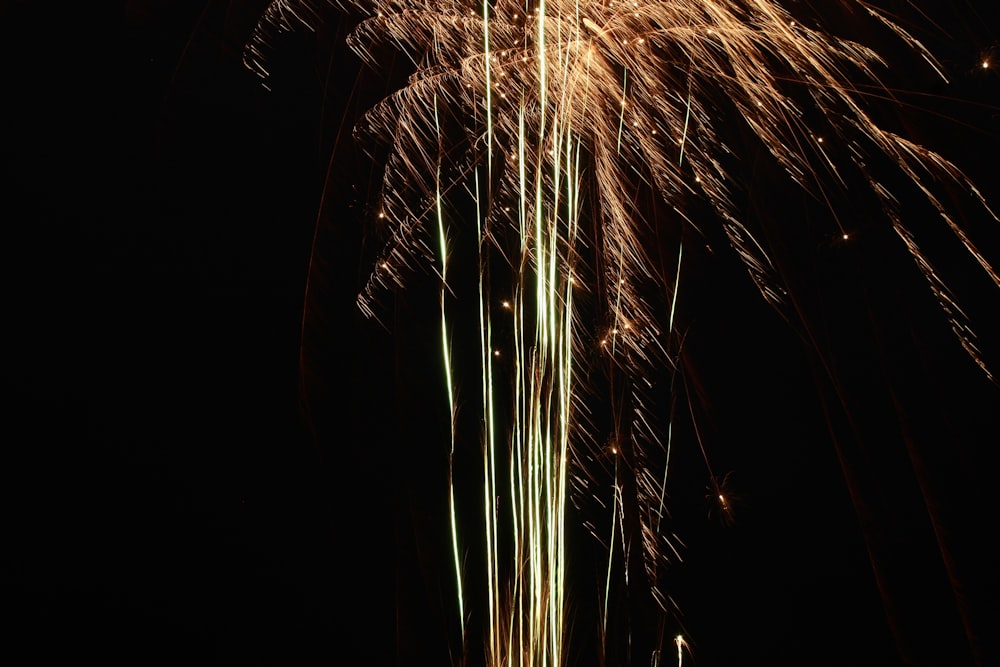 a bunch of fireworks are lit up in the night sky