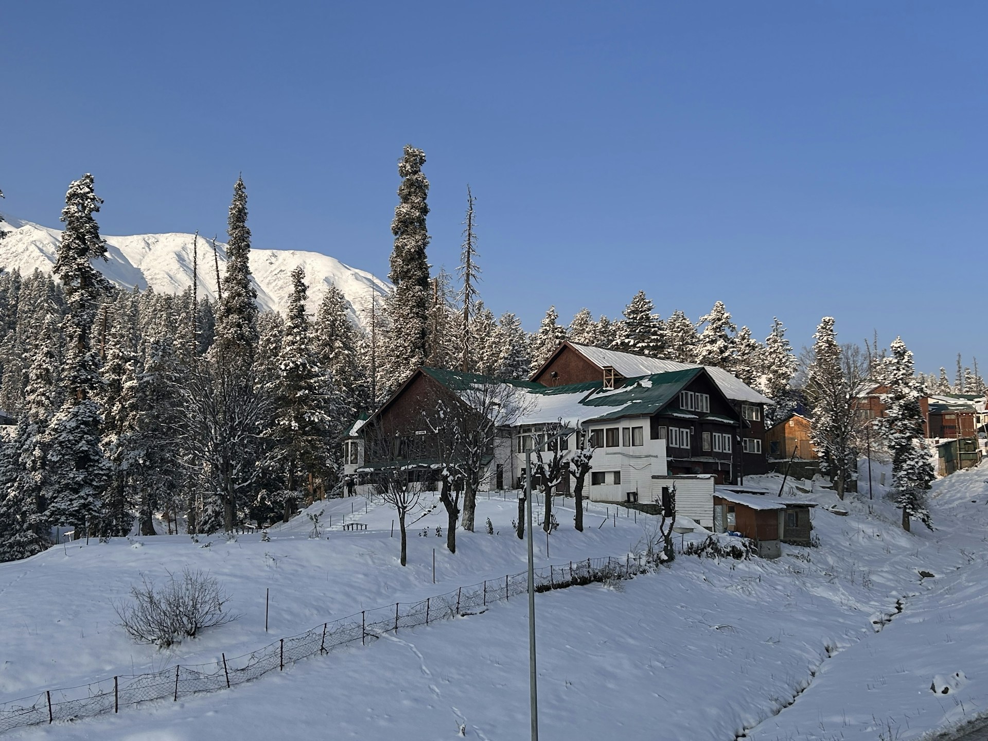 A cozy mountain cabin surrounded by towering pine trees dusted with fresh snow.