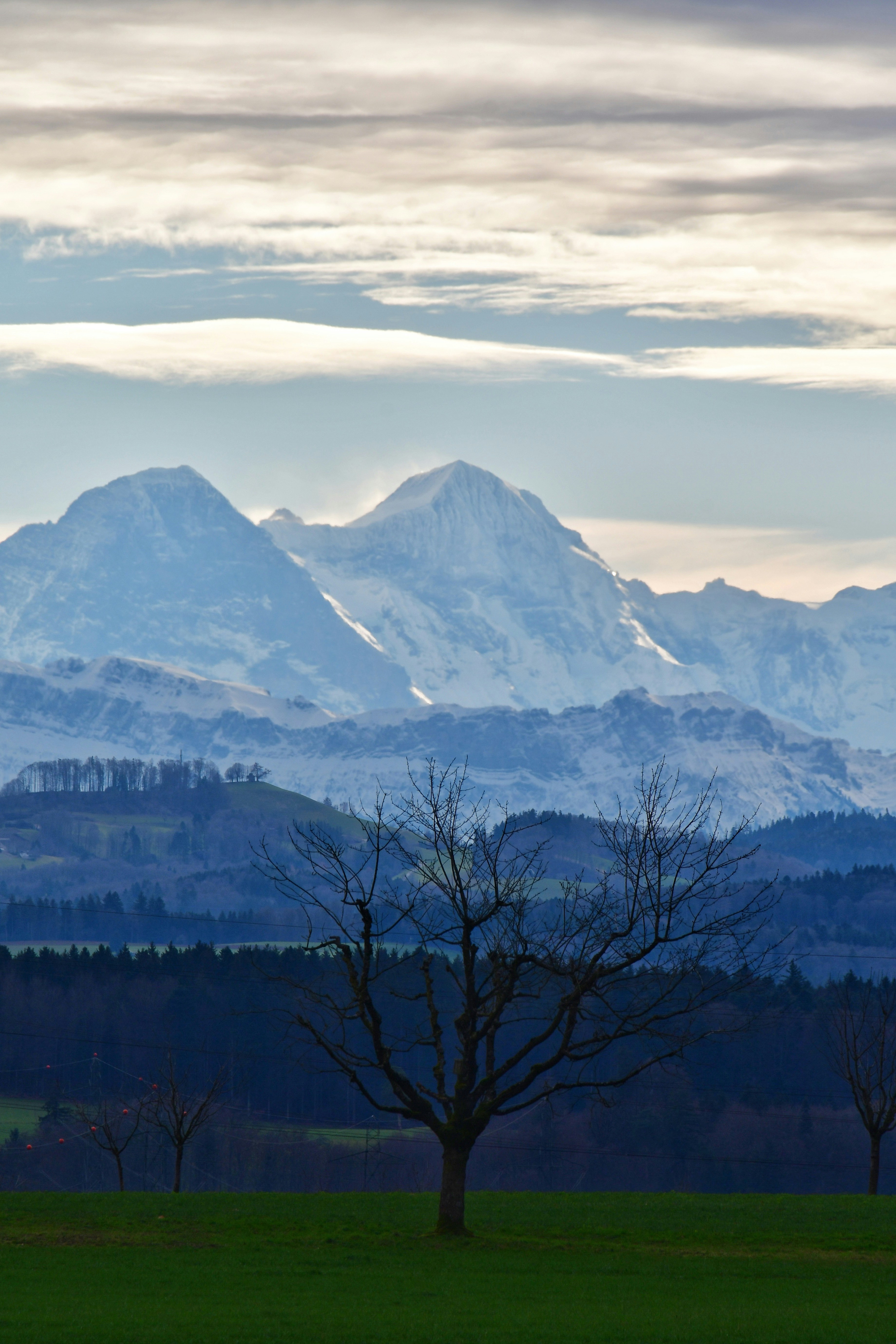 Photo by pedrino5_official