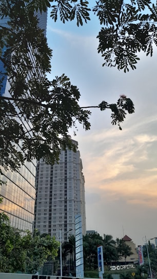 Tall buildings with modern architectural designs are framed by the overhanging branches and leaves of a nearby tree. The sky shows a mixture of blue and orange hues as the sun sets, casting a warm glow. There are some smaller structures and greenery at ground level, with a sign that reads 'SOHO CAPITAL'.