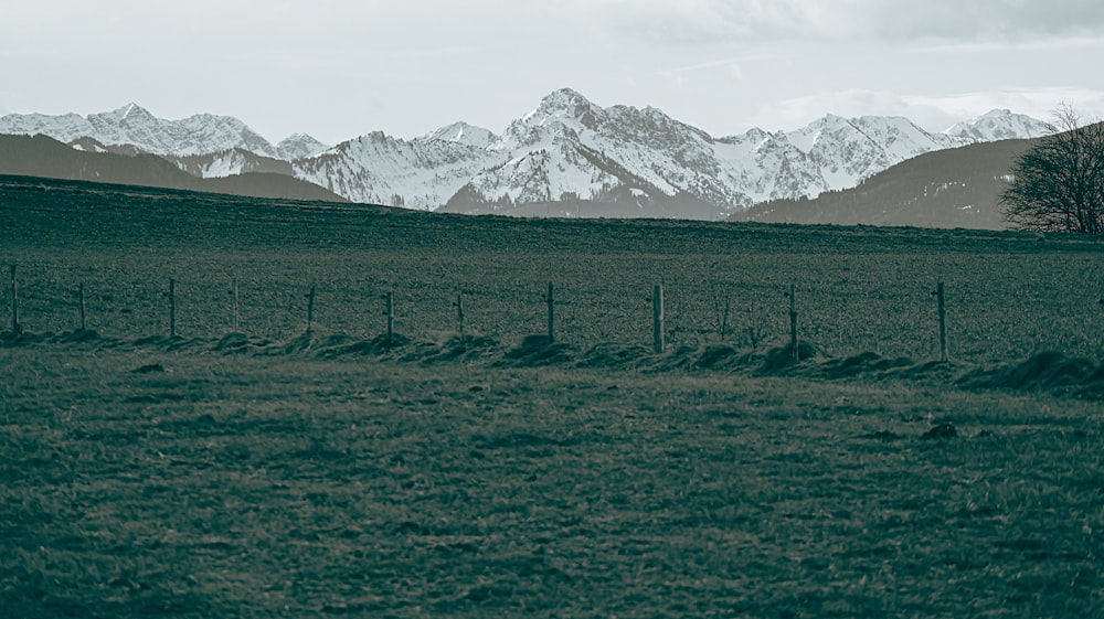 a field with a fence and mountains in the background