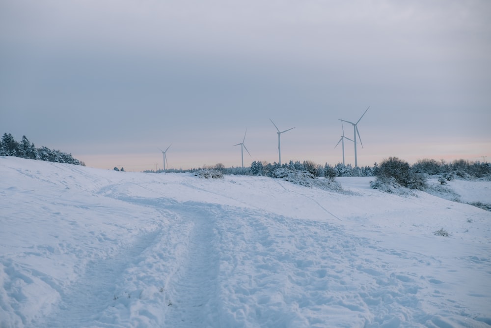 a snow covered field with wind turbines in the background