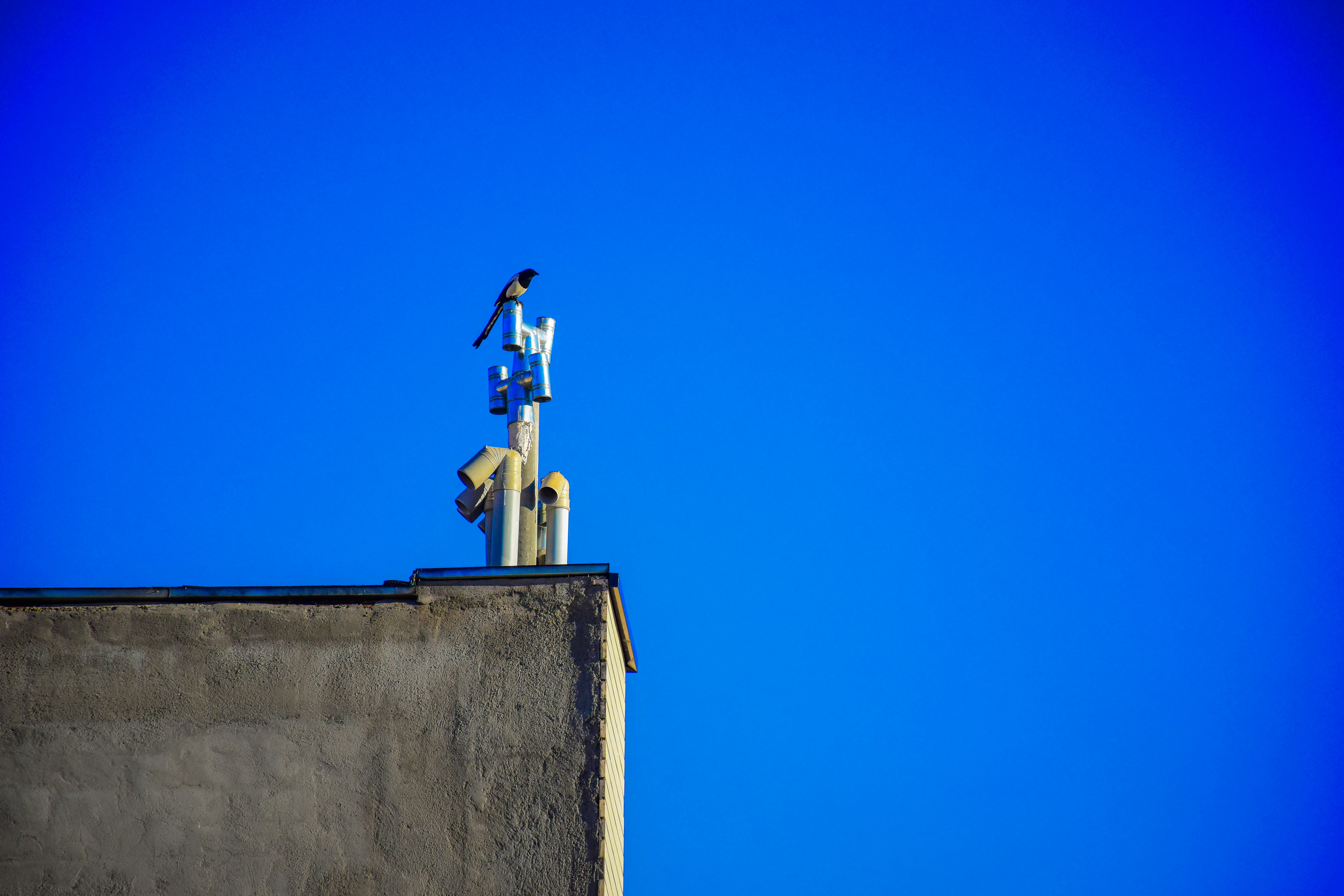 Золоте, Camera Blue Tower