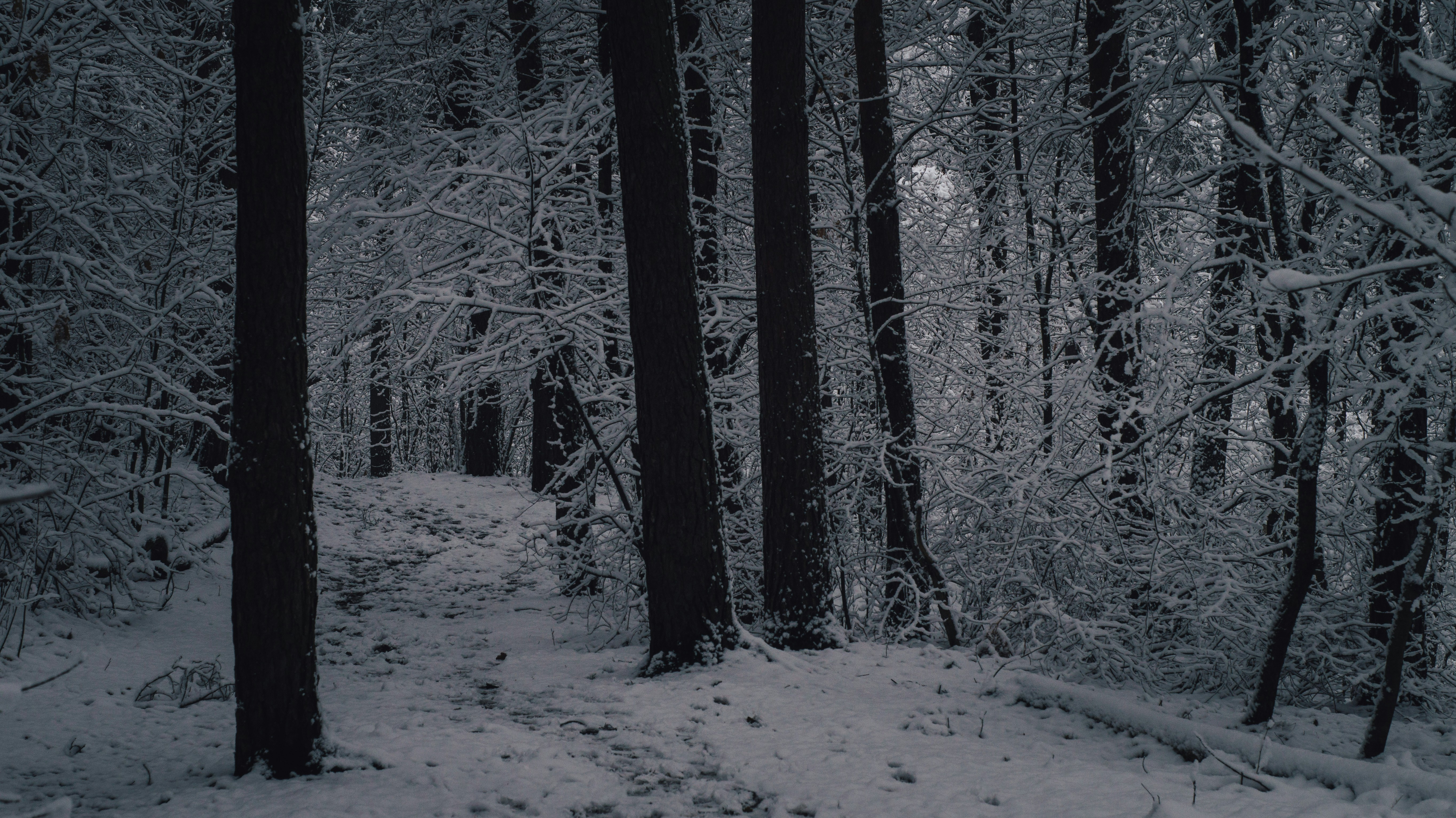 Photo by sprucejpg