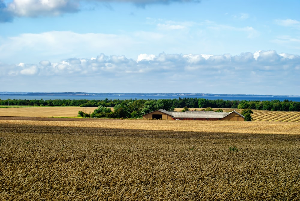 a large field with a barn in the middle of it