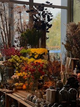 A vibrant assortment of home and garden products displayed on shelves.