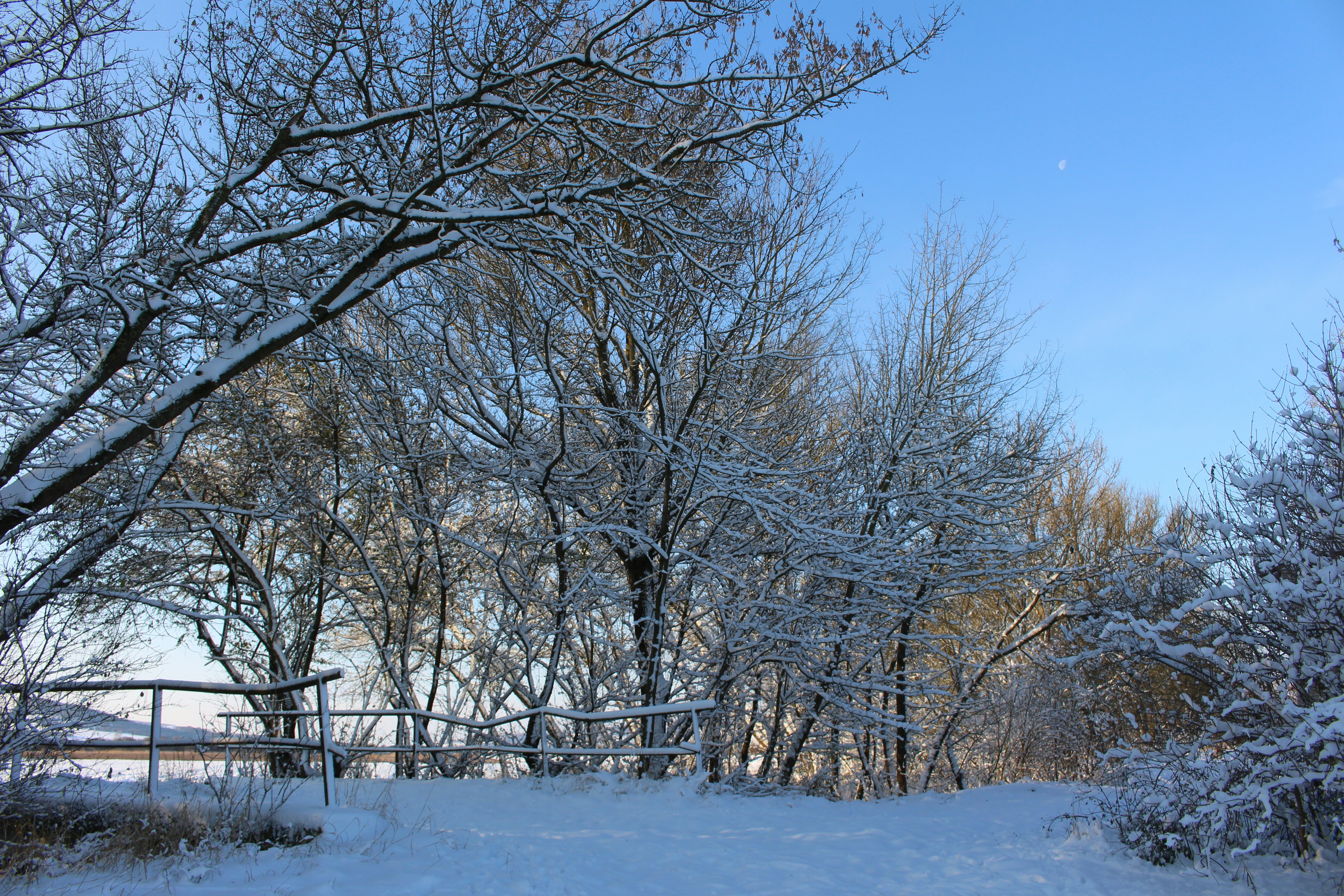 Photo by marjorylucabaxter