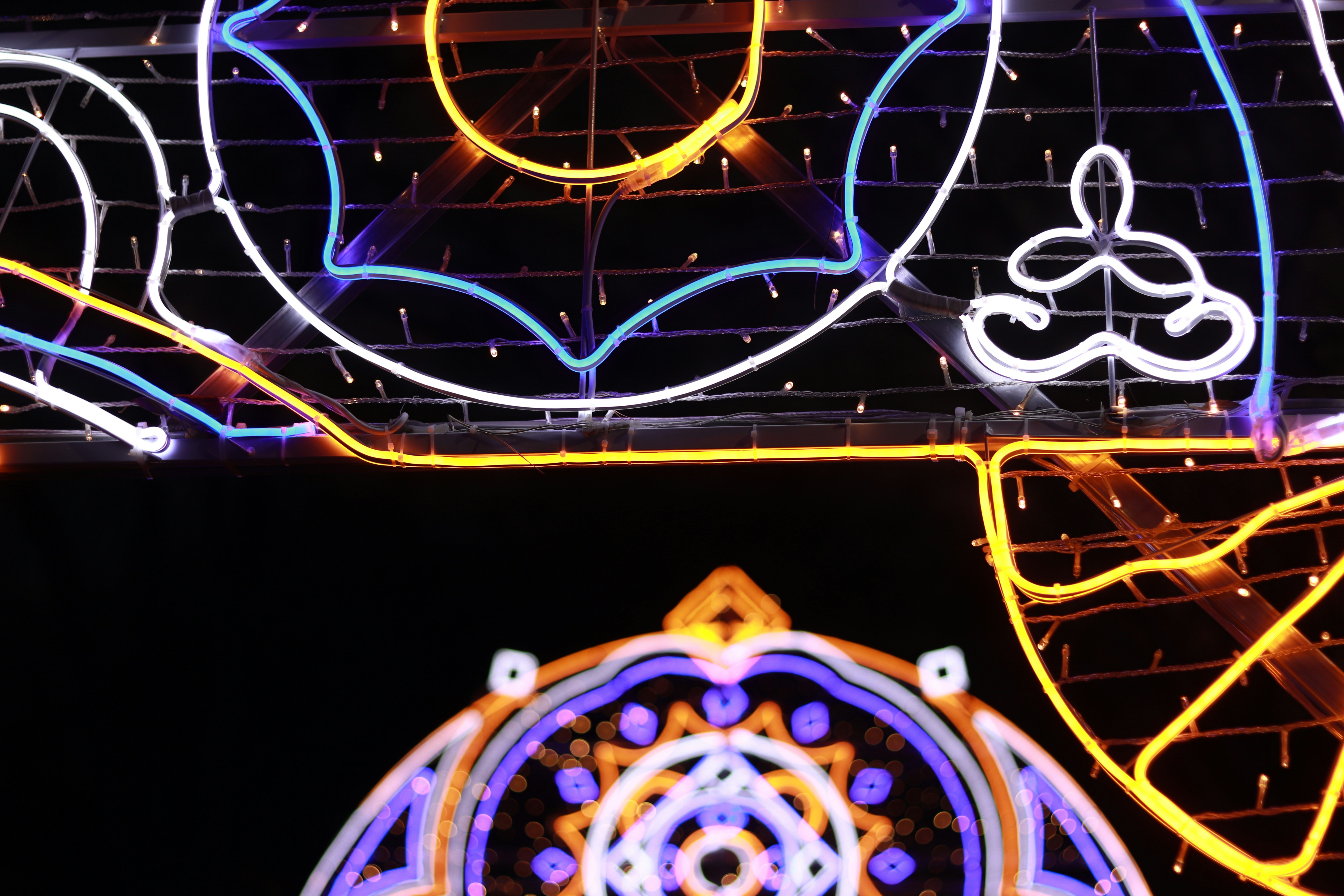 Photo by love4ladybug_pic