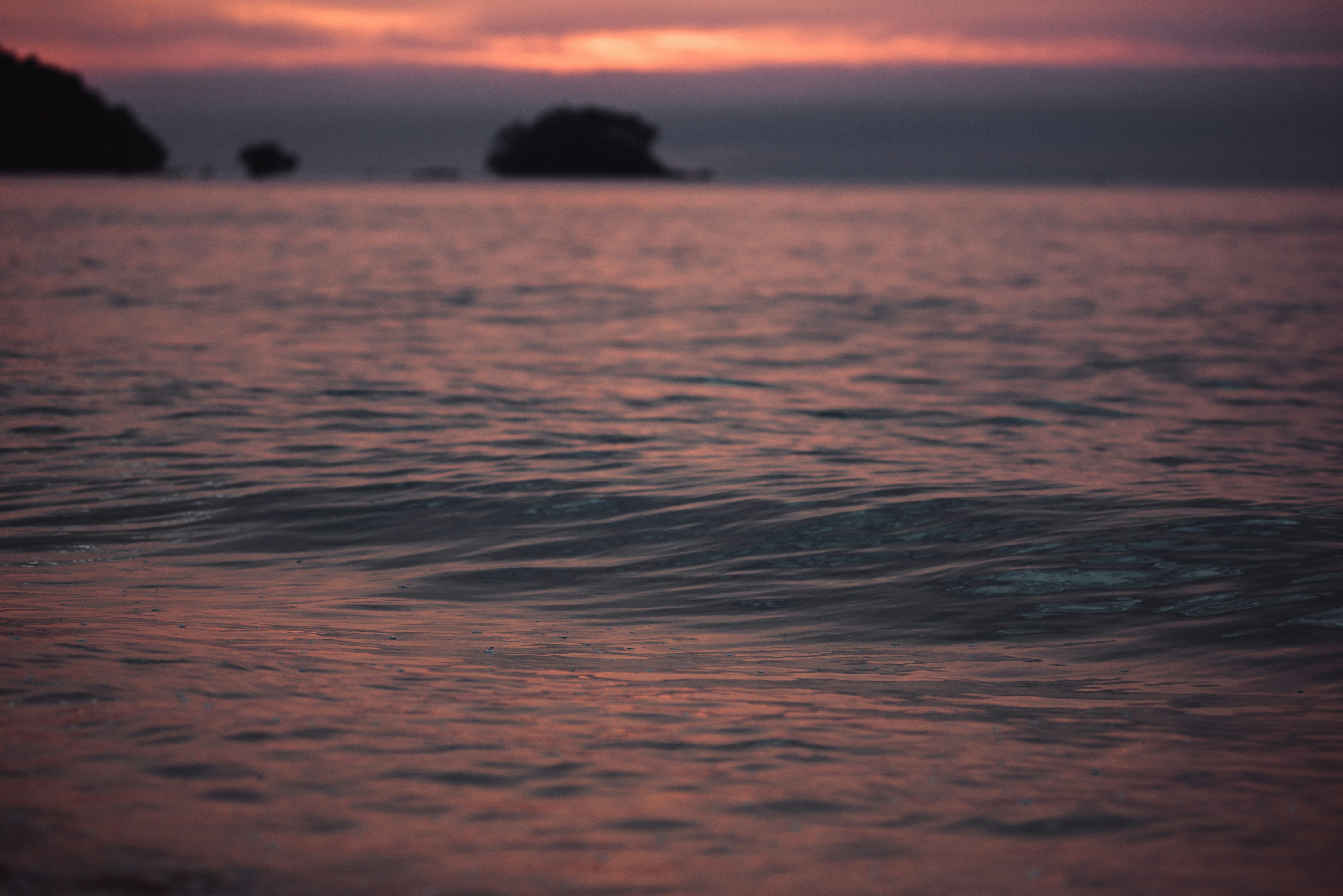 Photo by torirori