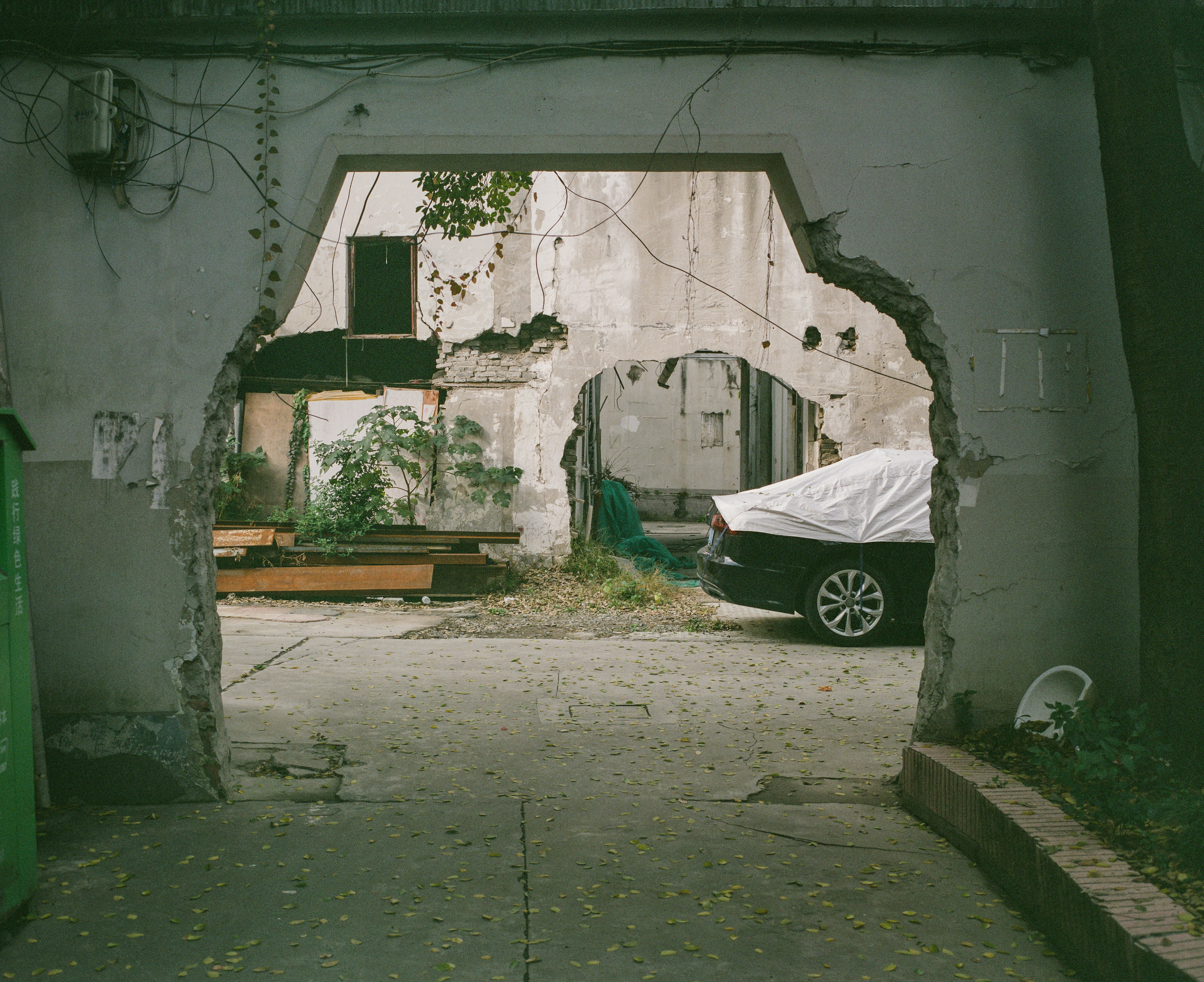 Photo by derekleej