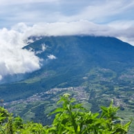 A picturesque landscape showcasing lush greenery and mountains in Lombok.