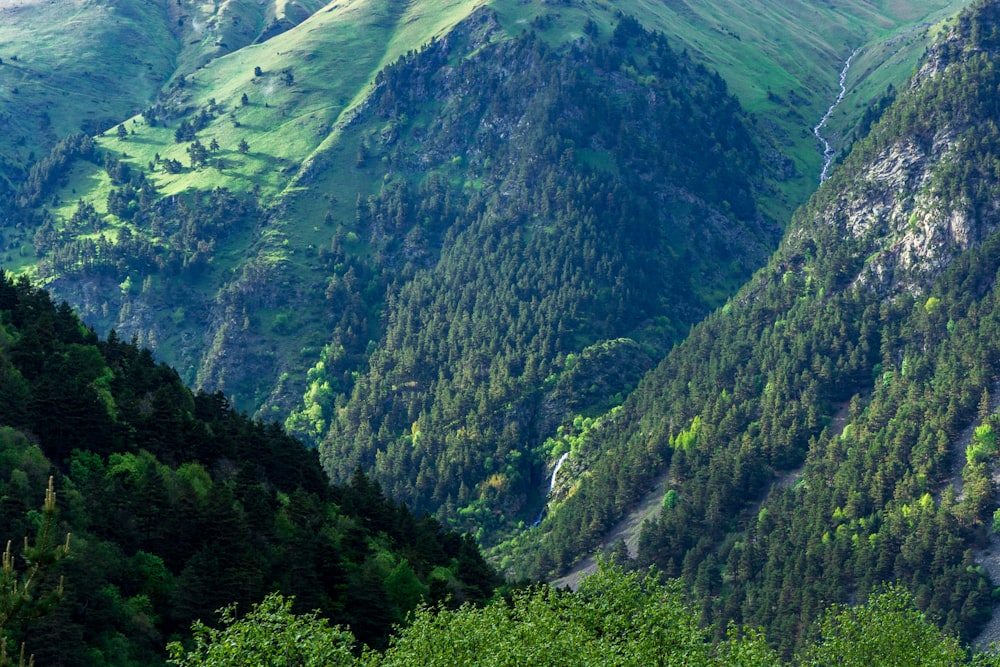 a view of a mountain range with green trees